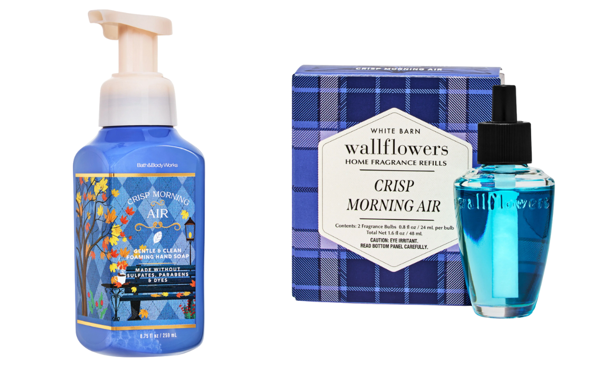 Crisp Morning Air hand soap and wallflower from Bath & Body Works