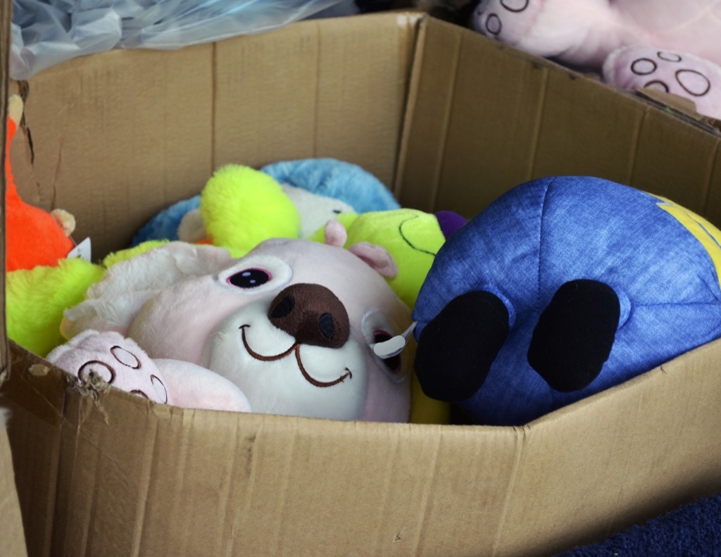 Box of stuffed animals housekeeper secrets