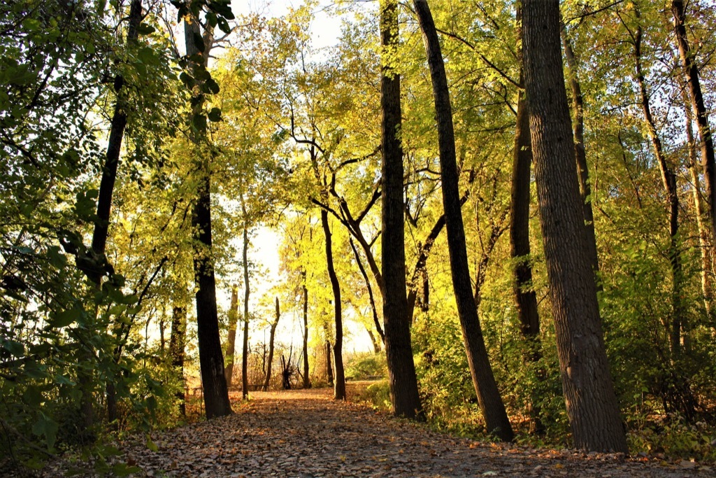 habits that help you stay young