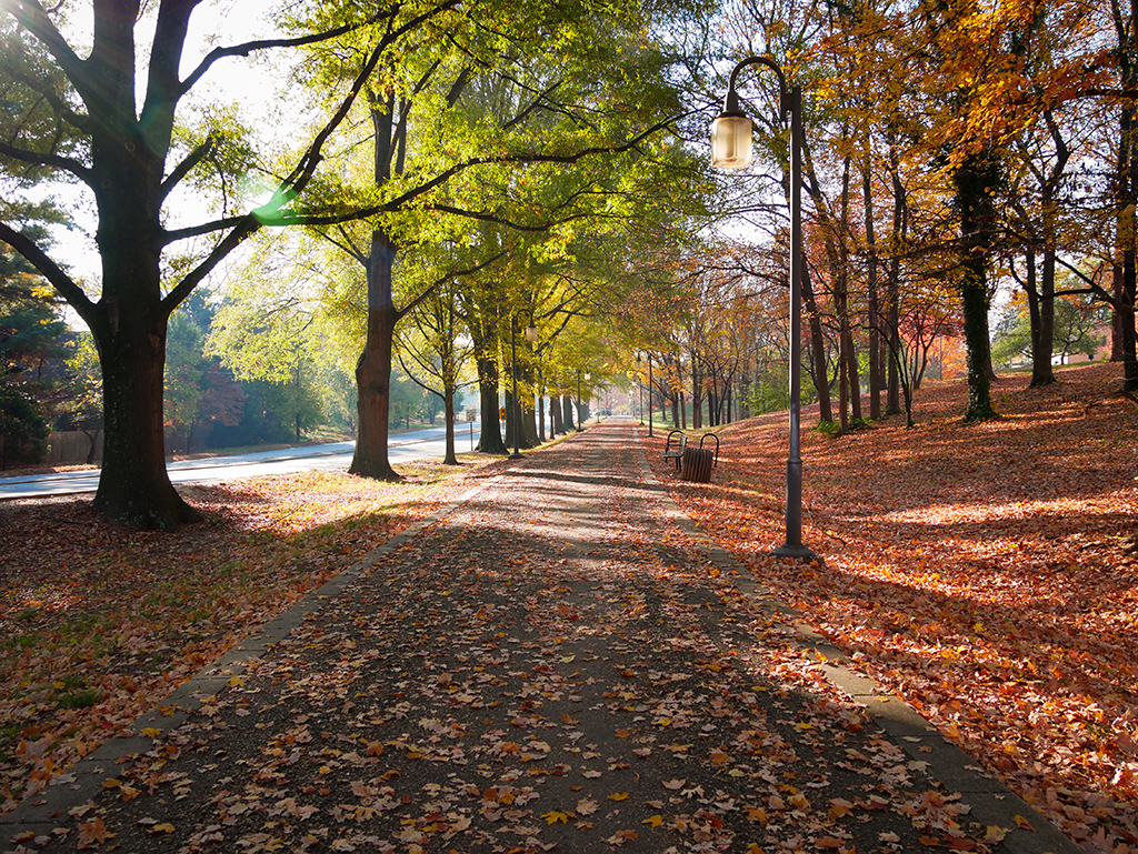 Winston-Salem, drunkest cities, fattest cities