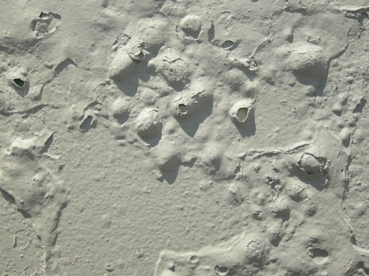 bubbling paint home problems