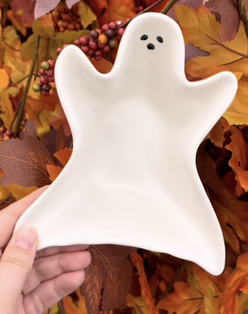 ghost dish from big lots