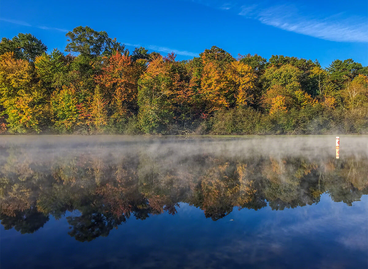 trees and water at mirror lake state park wisconsin