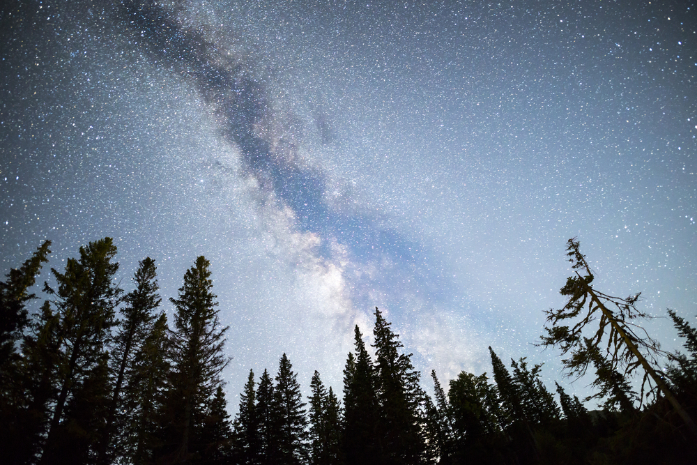 A view of the stars of the Milky Way with a pine trees forest silhouette in the foreground. Night sky nature summer landscape. Perseid Meteor Shower observation.