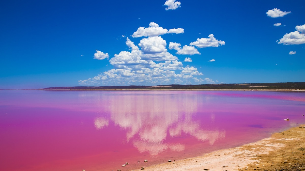 Port Gregory Pink Lake