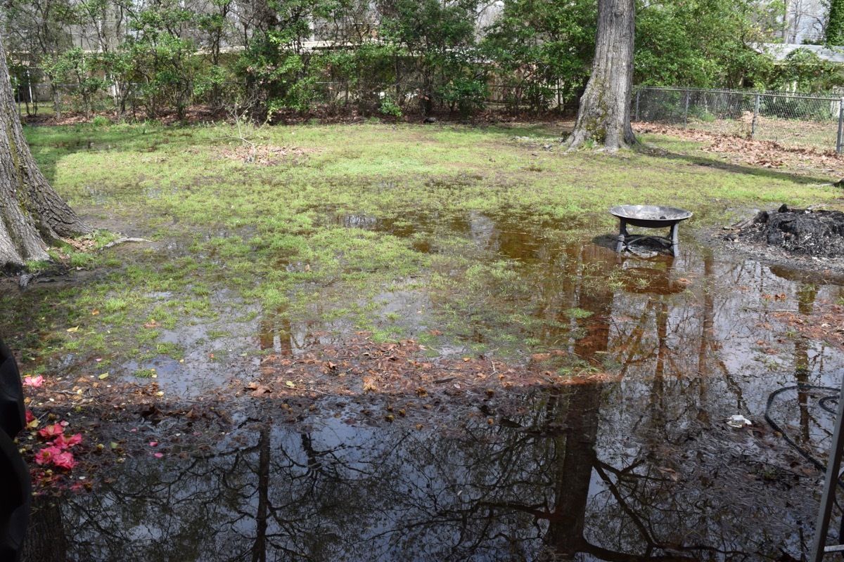 Flooded Backyard