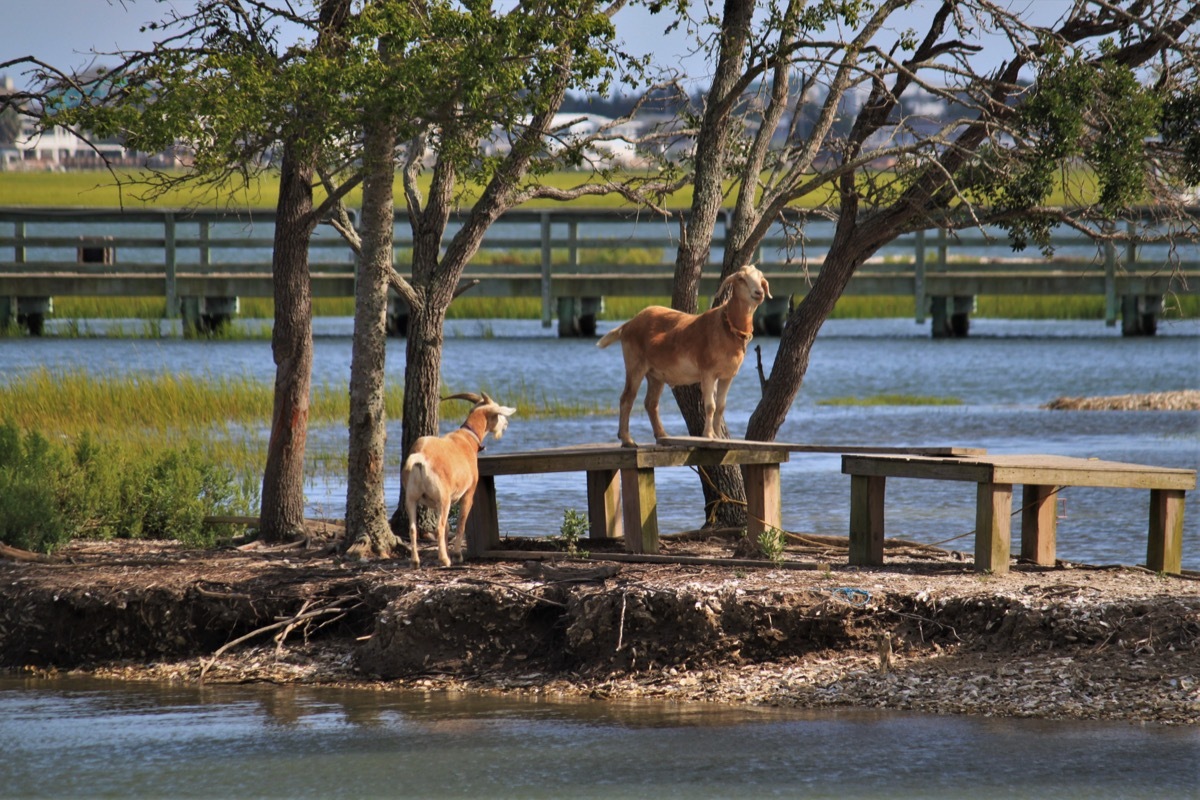 Murrells Inlet South Carolina