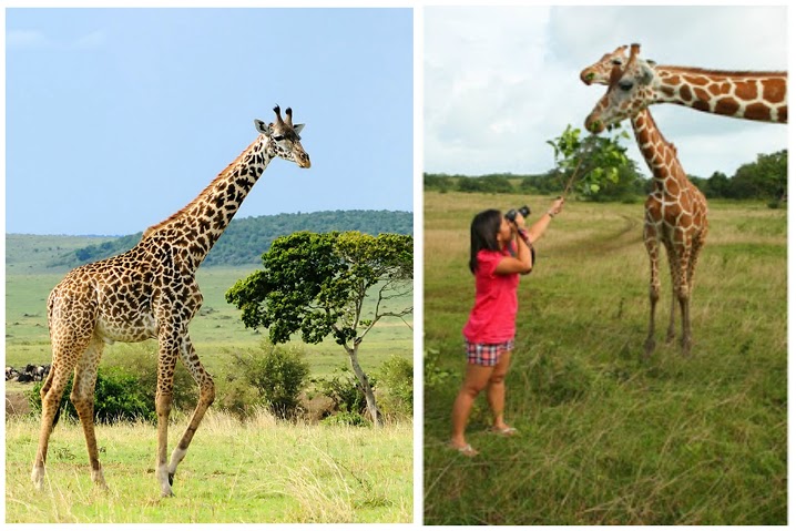 pinoy-look-alikes-of-famous-tourist-sights-around-the-world_03