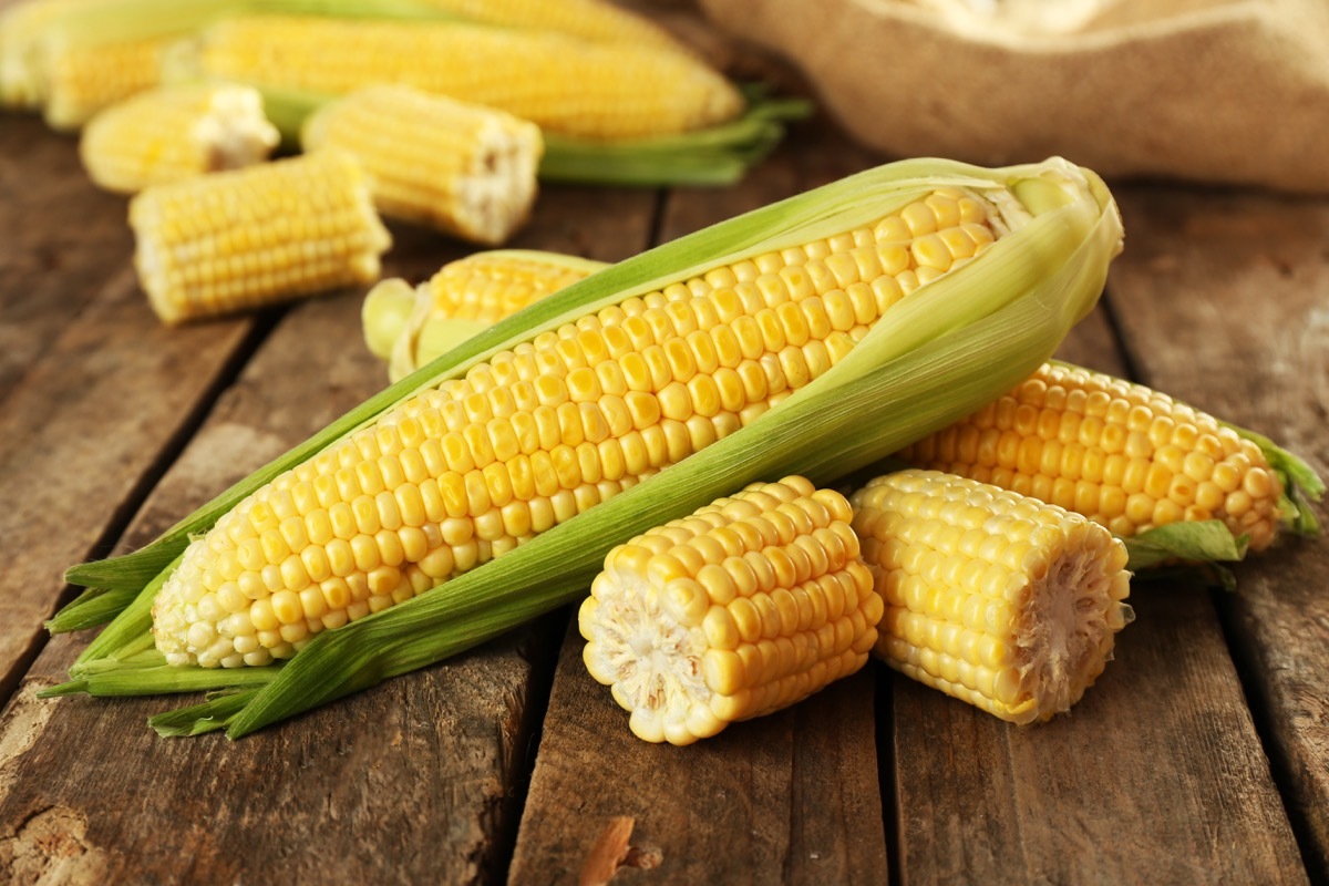 ear of corn, funniest jokes 