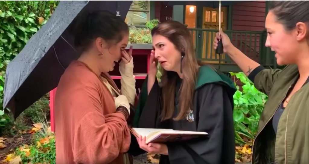 harry potter proposal