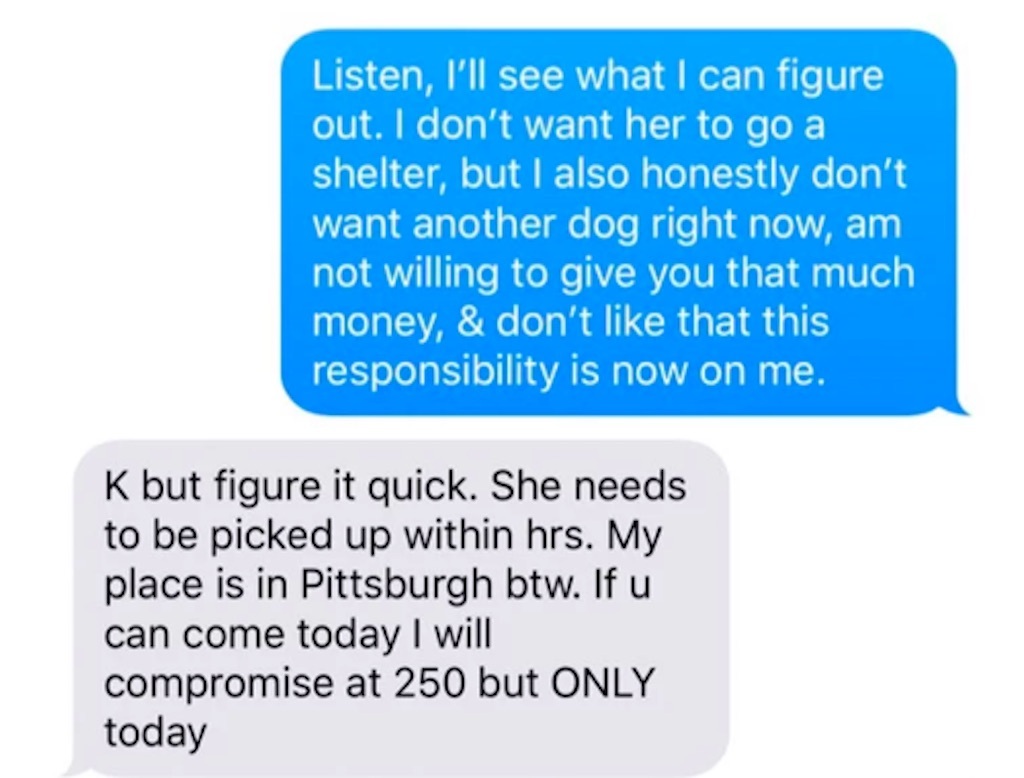 horrible woman demands money to take in elderly dog. 