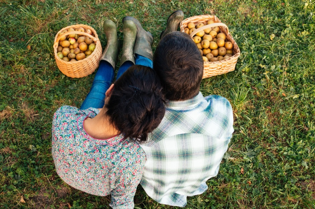 couple apple picking in fall
