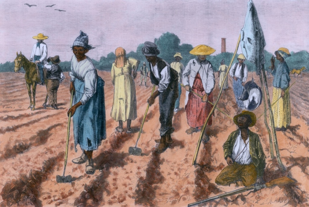 African American Slaves Working on Plantation School Lessons