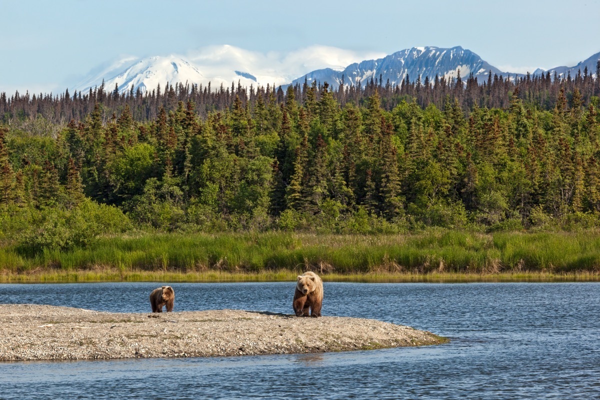 Katmai National Park
