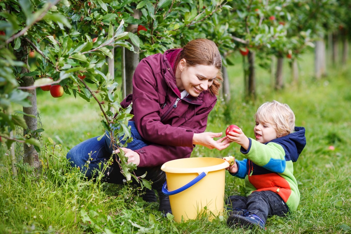 mom and son apple picking
