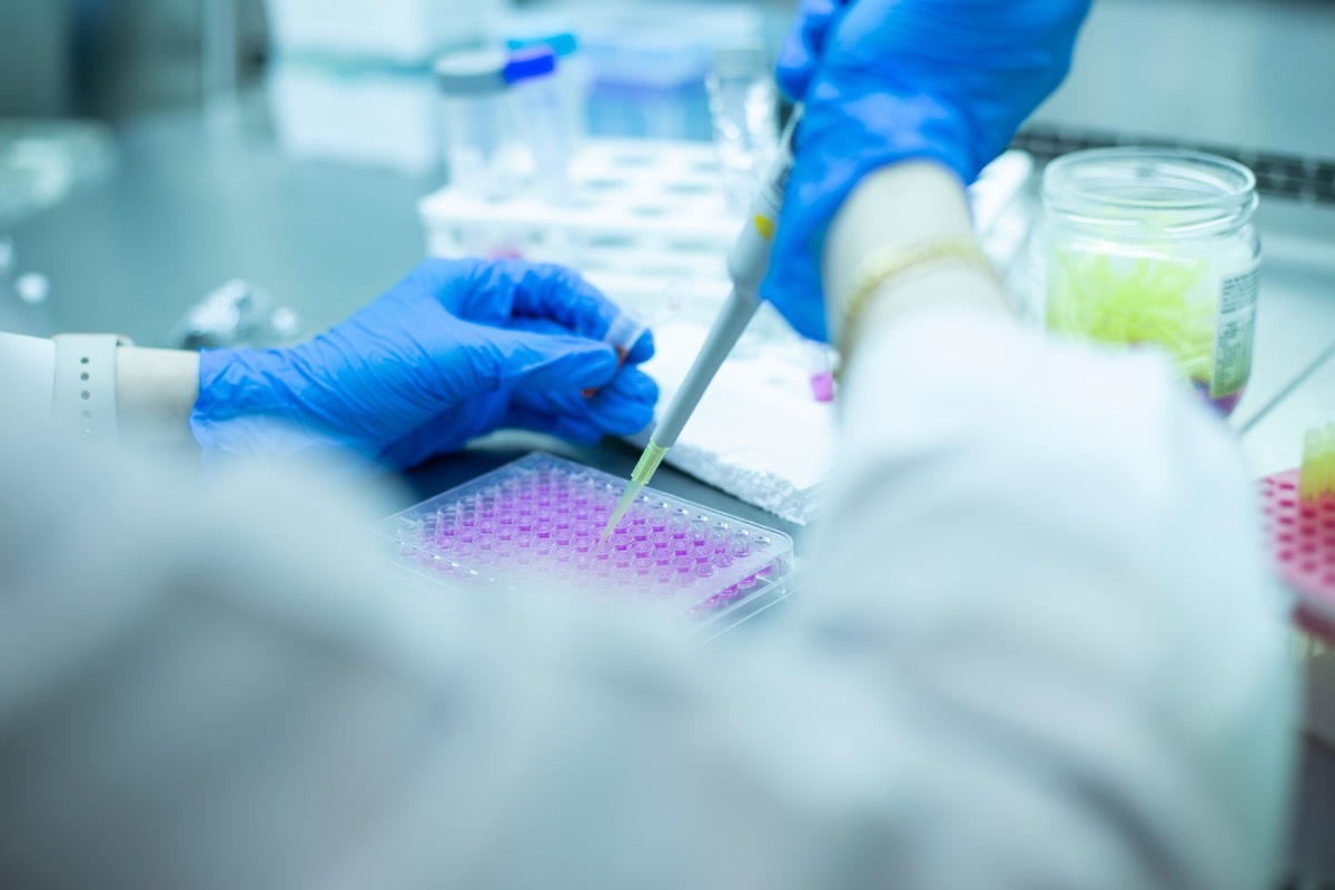 cell culture media at the safety cabinet