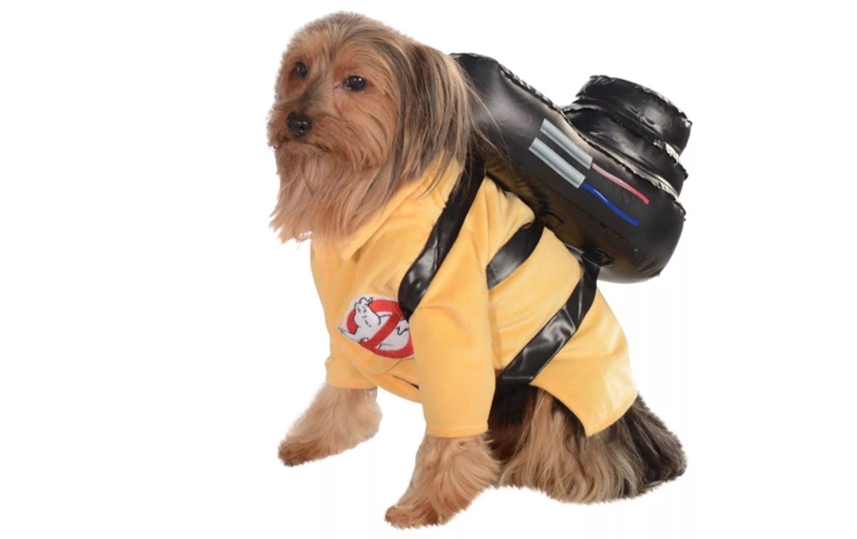 dog in ghostbusters costume, dog halloween costumes