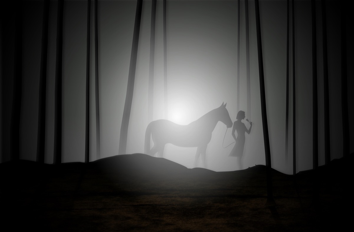 woman with a horse in the fog 