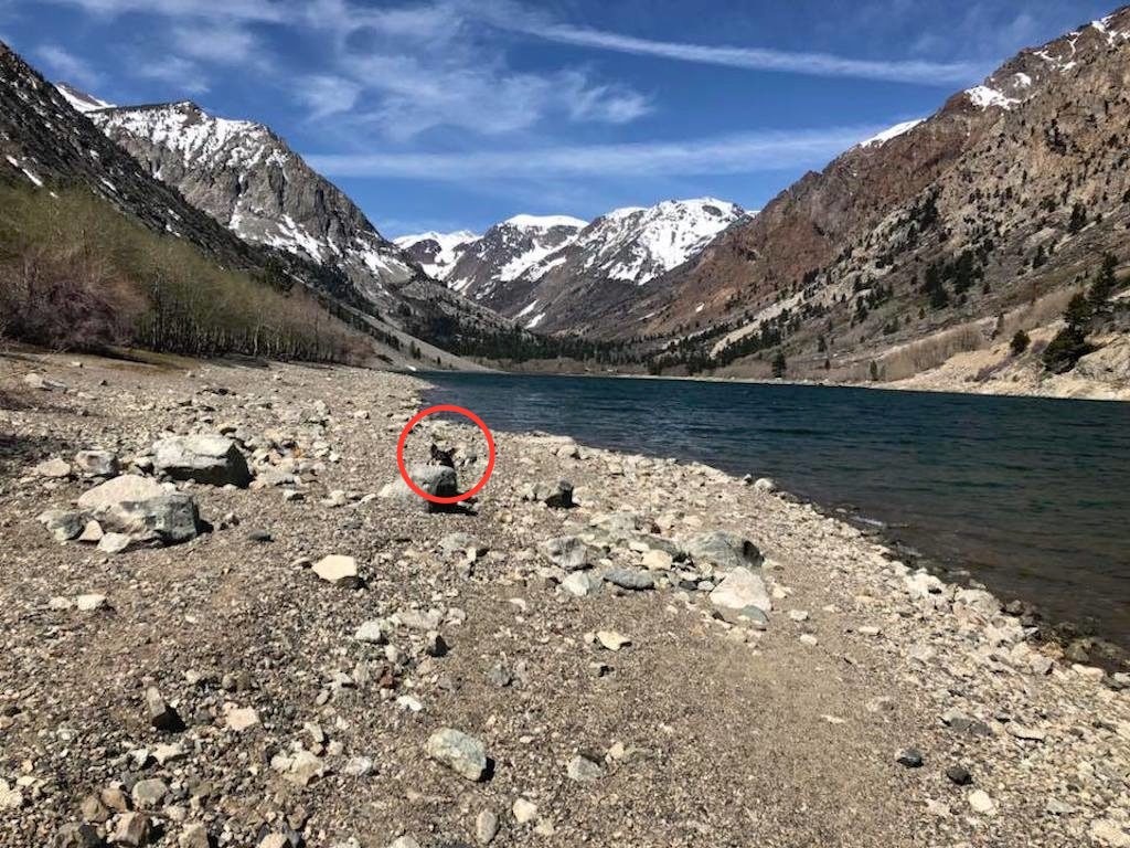 find franklin pond answer