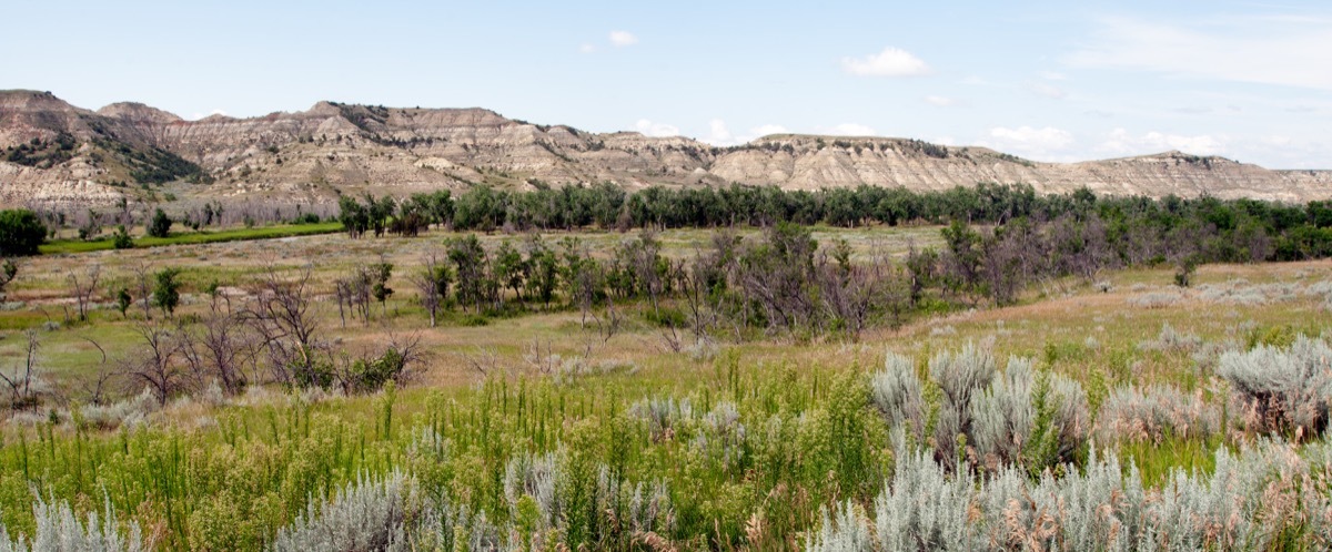 green area with trees and bushes sit amid mountains, state fact about north dakota