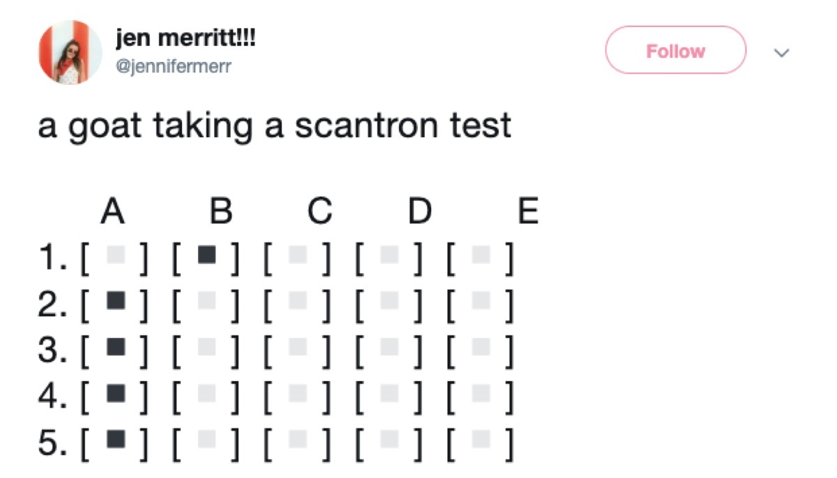 scantron test meme, 2019 meme