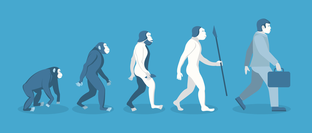 Evolution of Man From Apes School Lessons