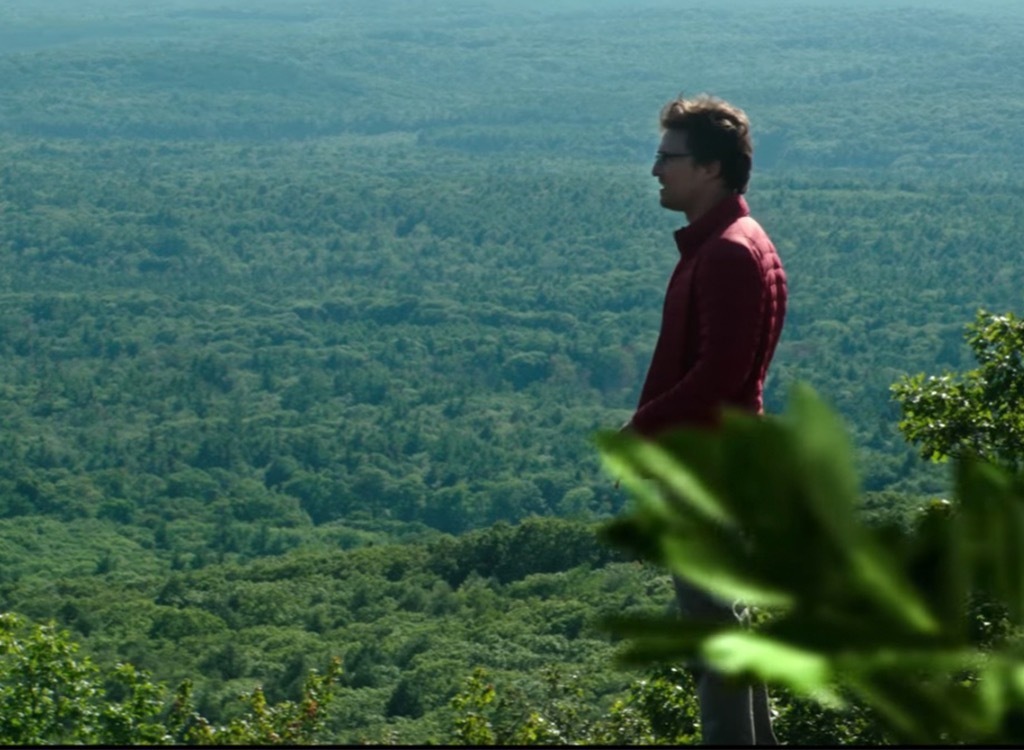 sea of trees movie Aokigahara suicide forest