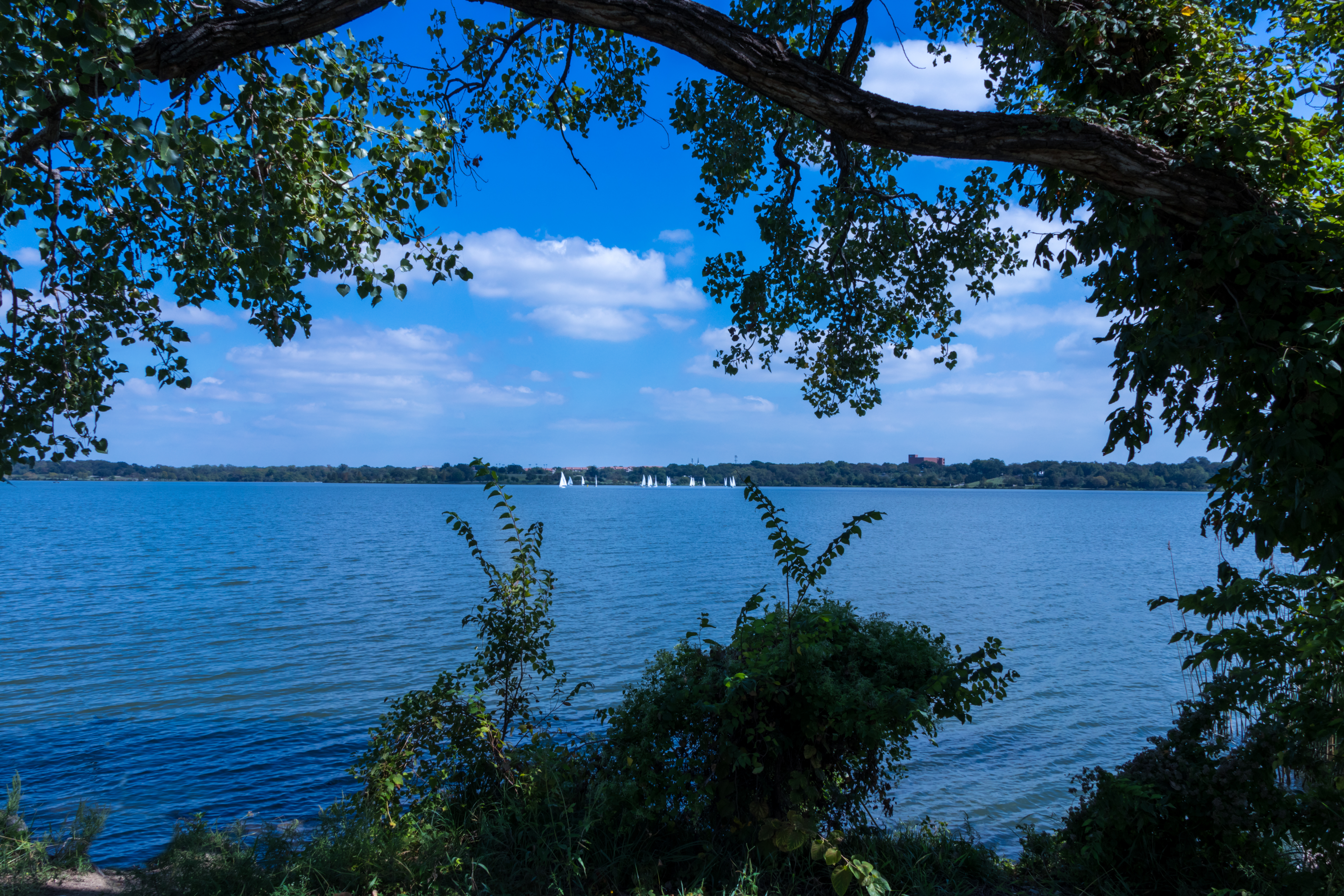 White Rock Lake in Dallas