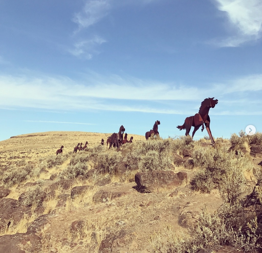 Vantage washington roadside attraction