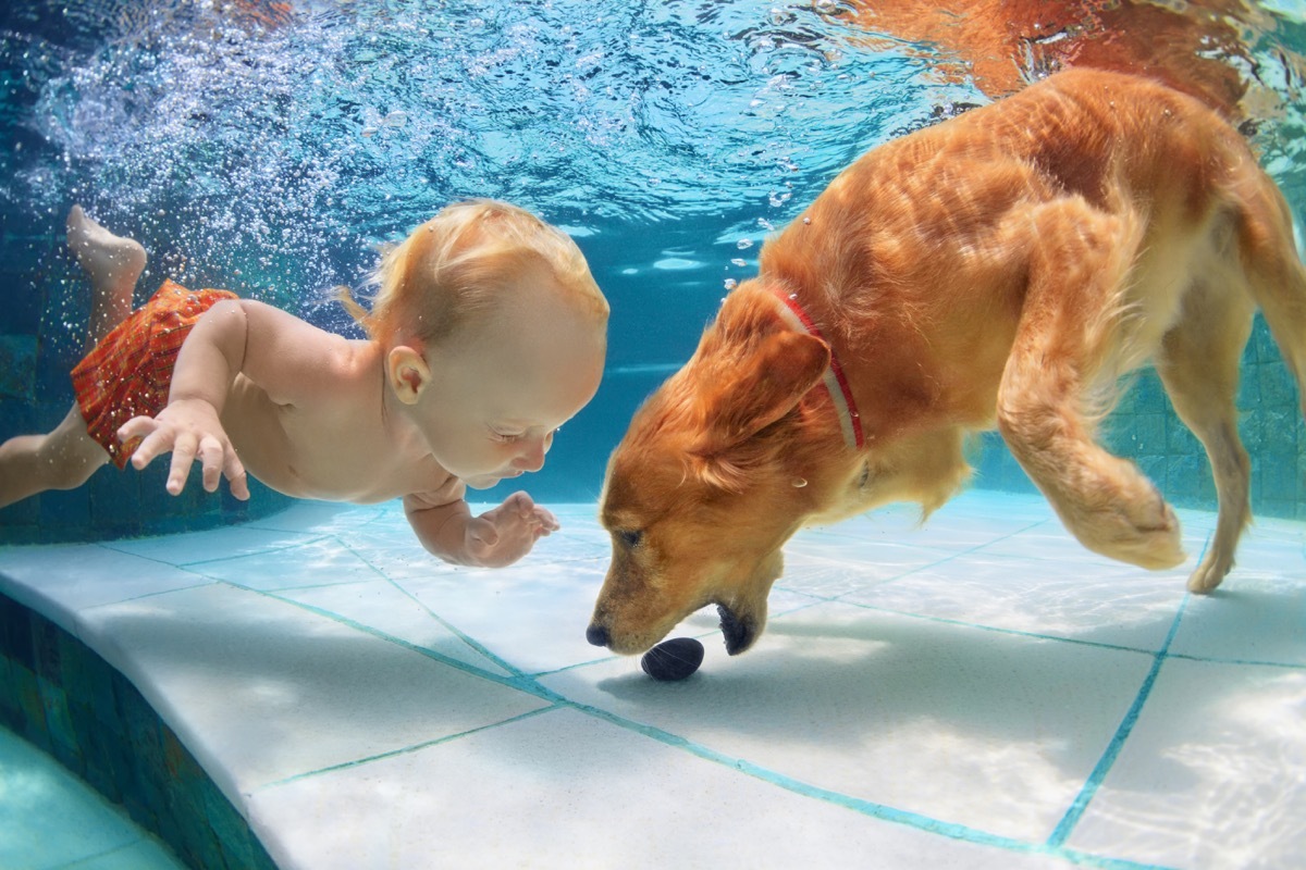 Dog and baby swimming
