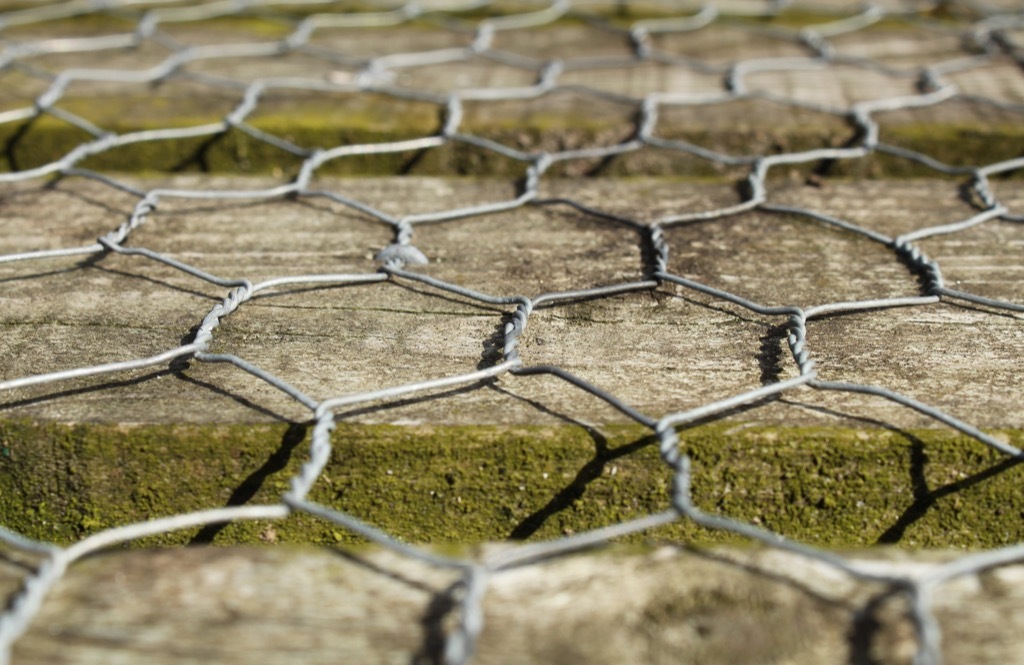 Chicken wire