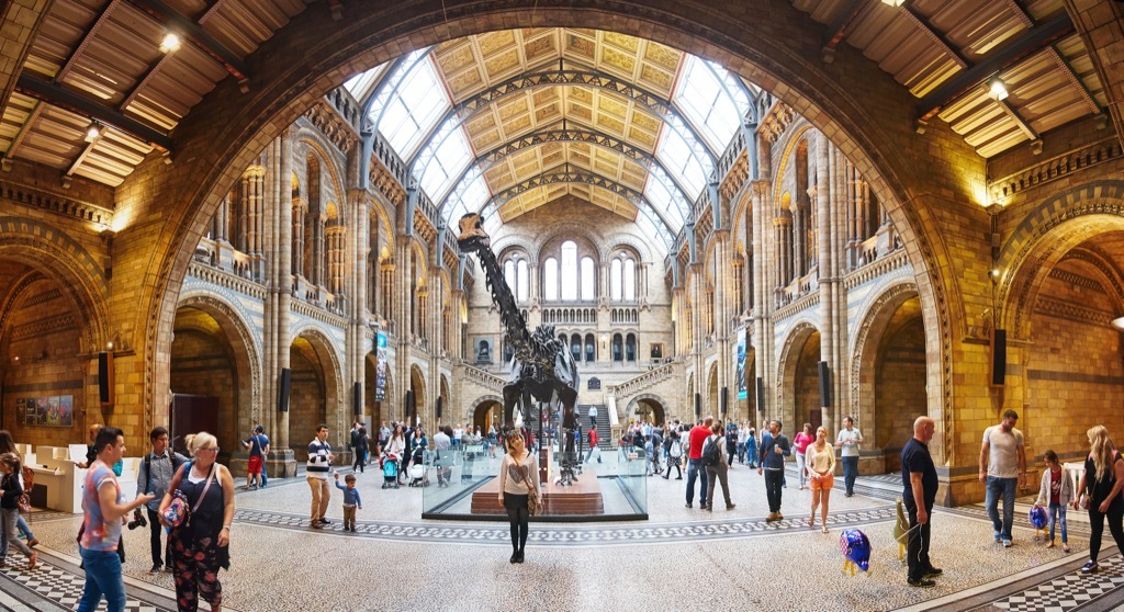 museum of natural history in london