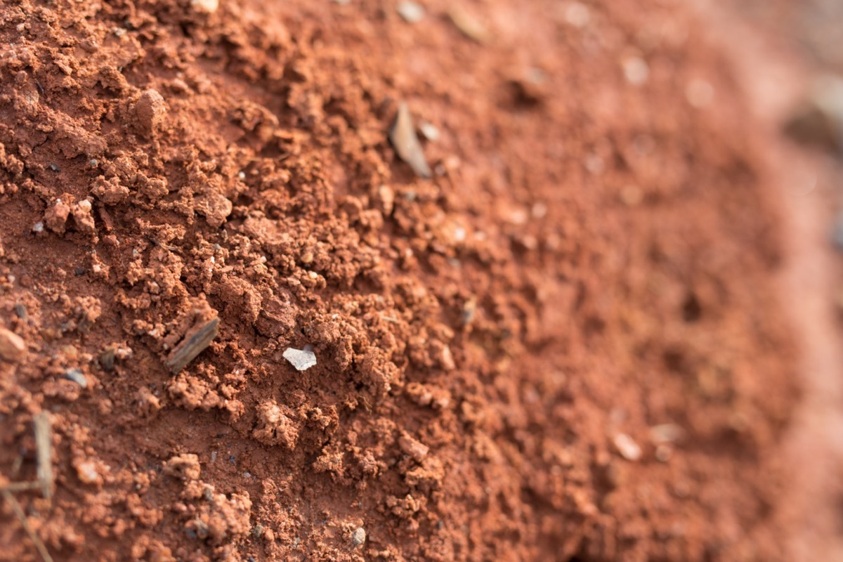 red clay in north carolina