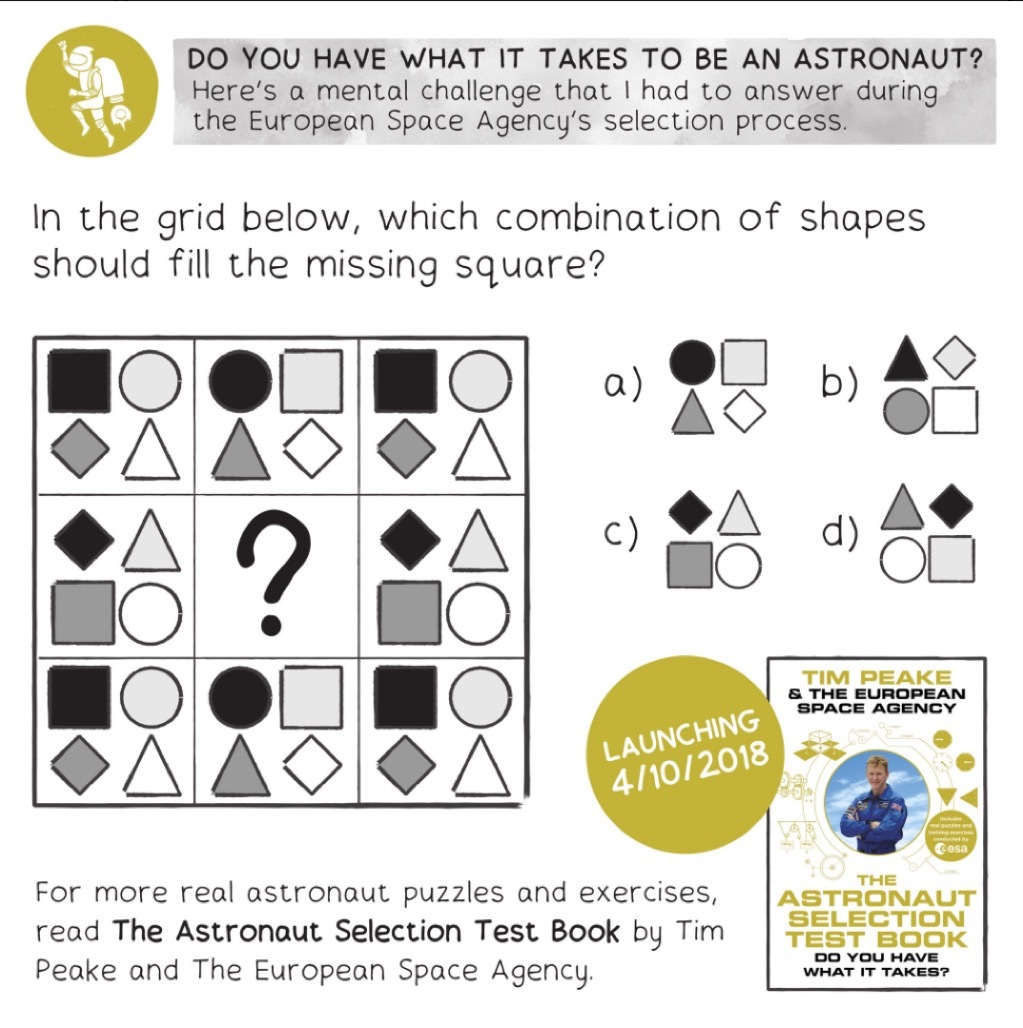puzzle from the Astronaut Selection Test Book