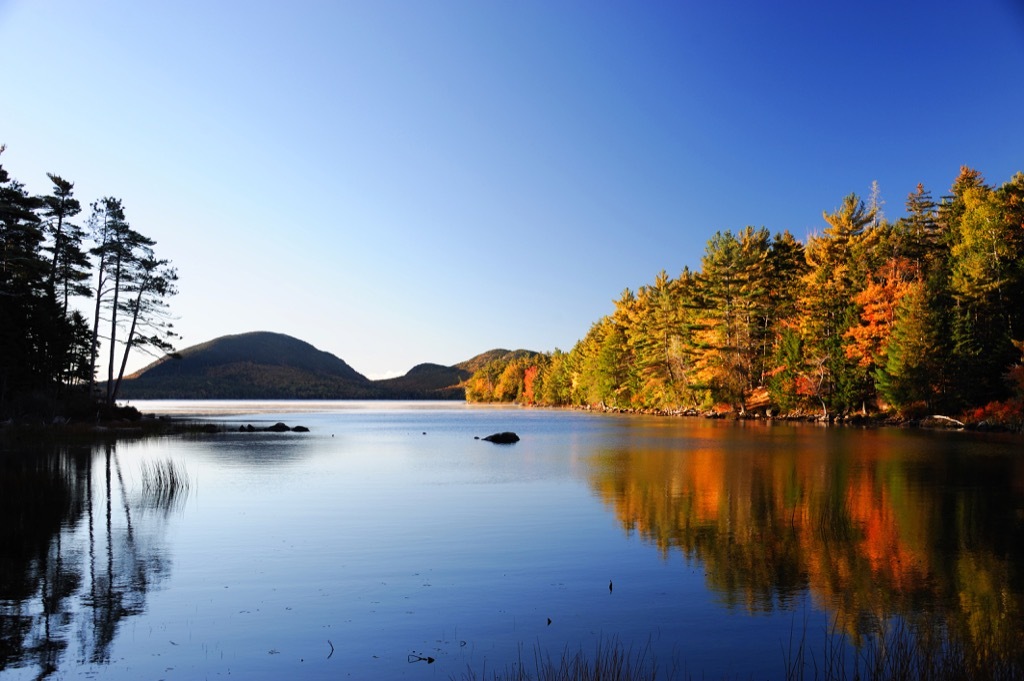 proposal ideas acadia