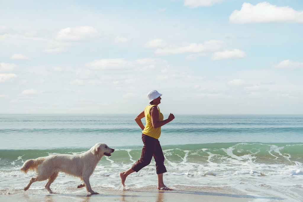 dog running on the beach with his owner {Find Happiness}