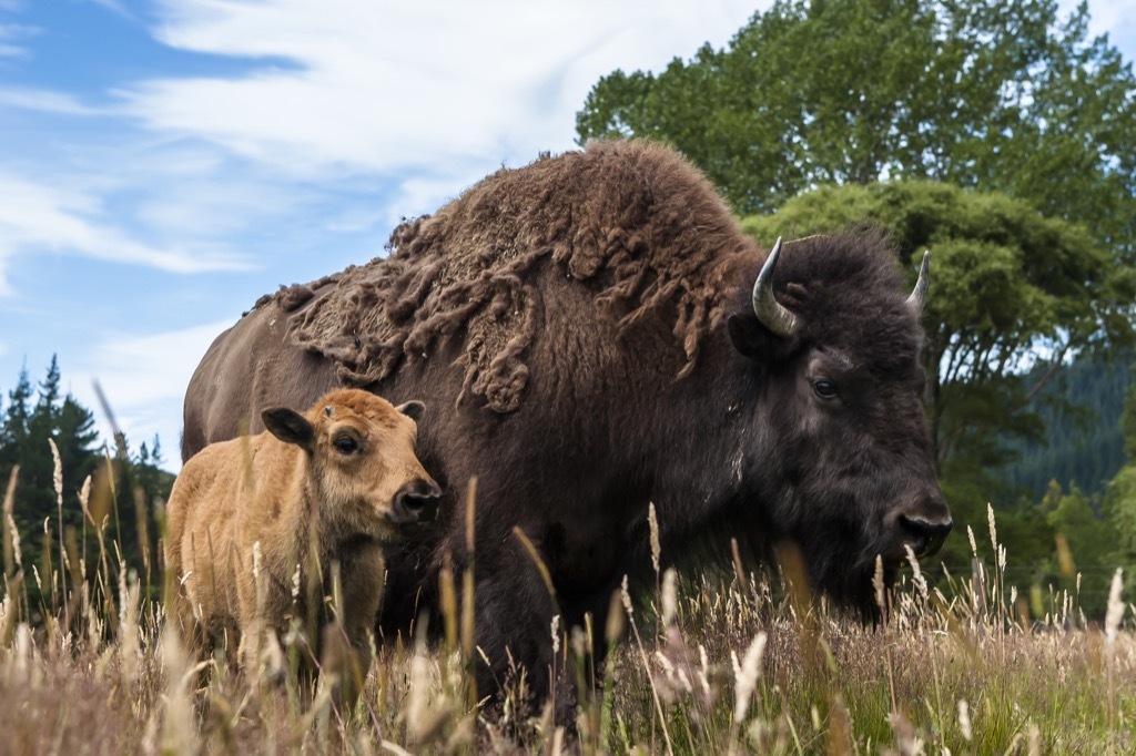 bad jokes that are actually funny local favorites