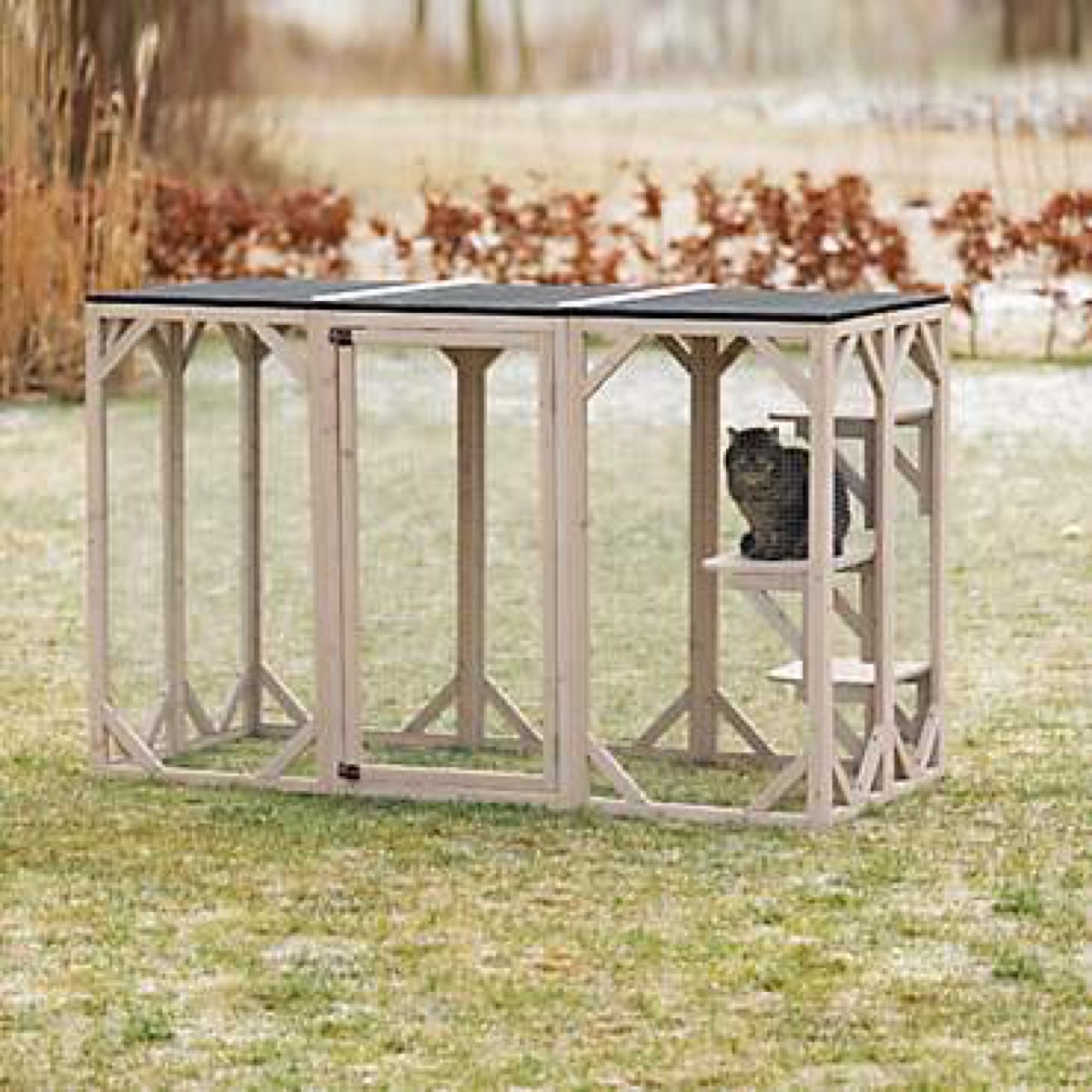 cat in wooden outdoor cage, cat playground