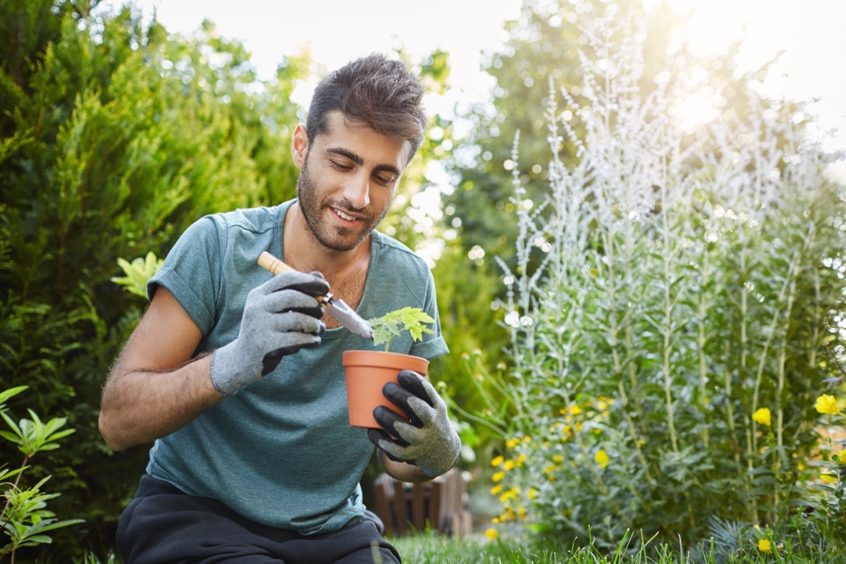 Man gardening