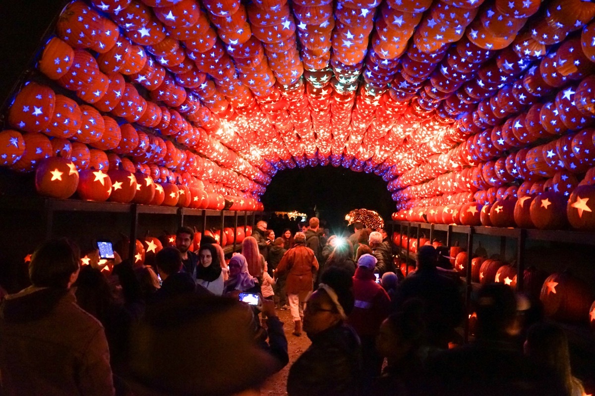 Pumpkin archway at The Great Jack o Lantern Blaze - Best Fall Festivals