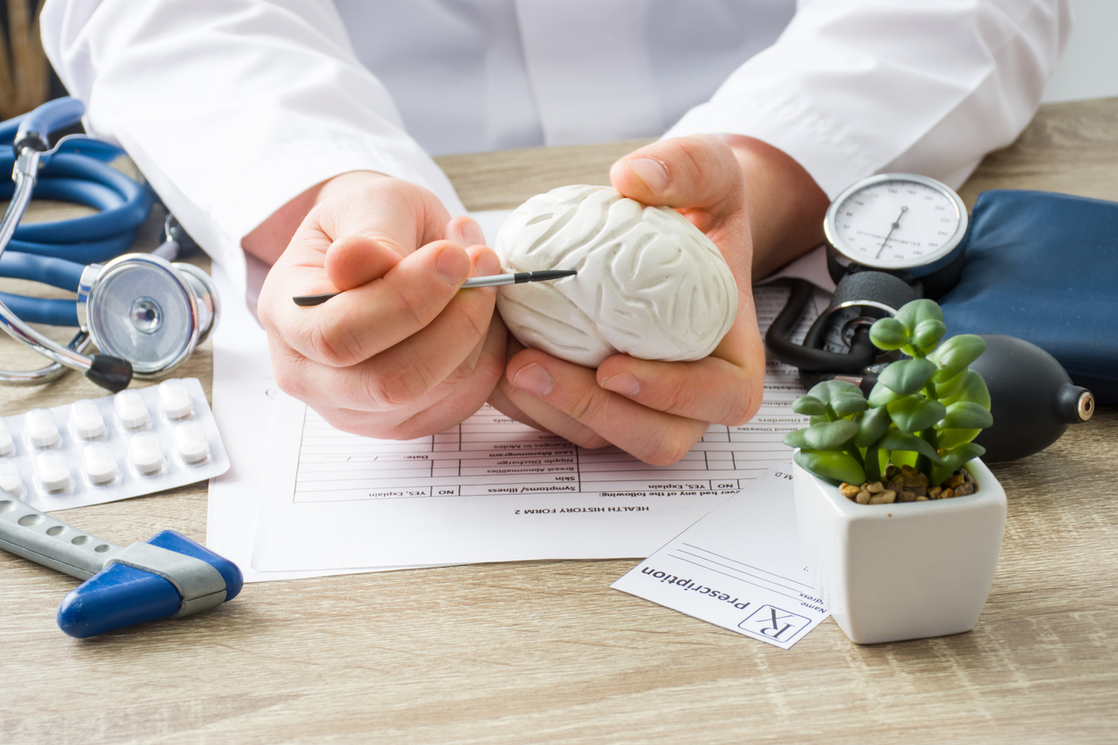 Physician holding a model of a brain. 