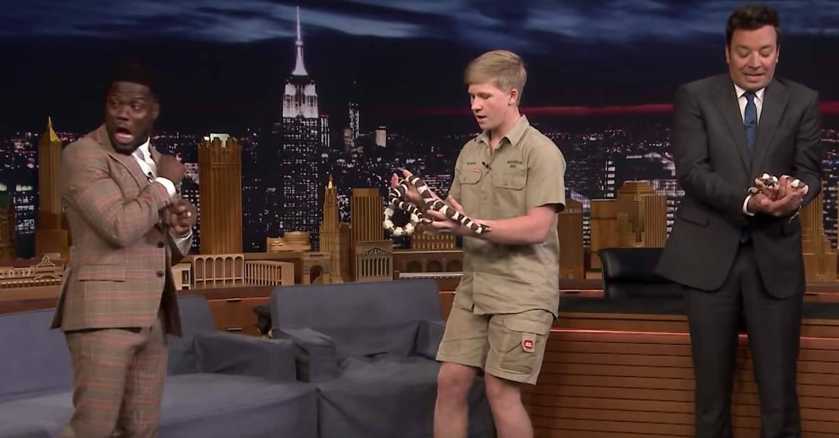 Kevin is afraid of reptiles. | 15 Kevin Hart Facts That Will Surprise You | Her Beauty