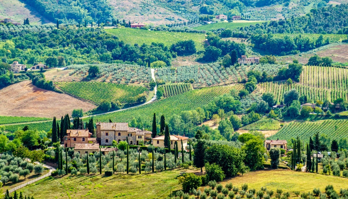Shot of Tuscany, Italy in wine country.