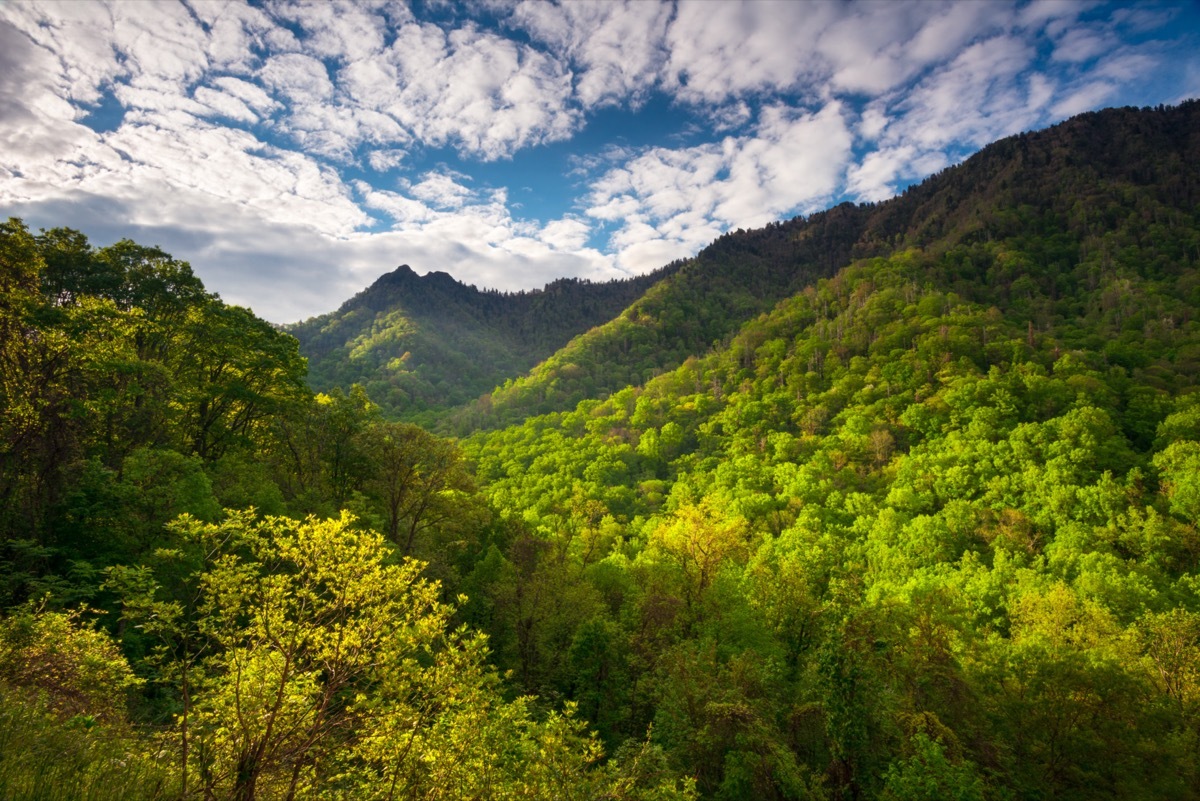 great smoky mountains national park
