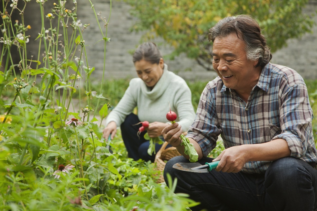 Senior couple in garden