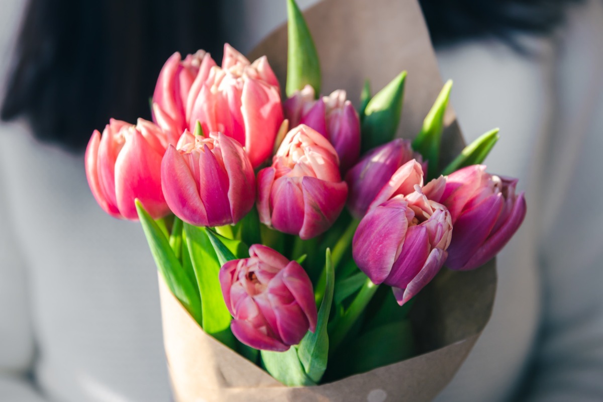 bouquet of tulips