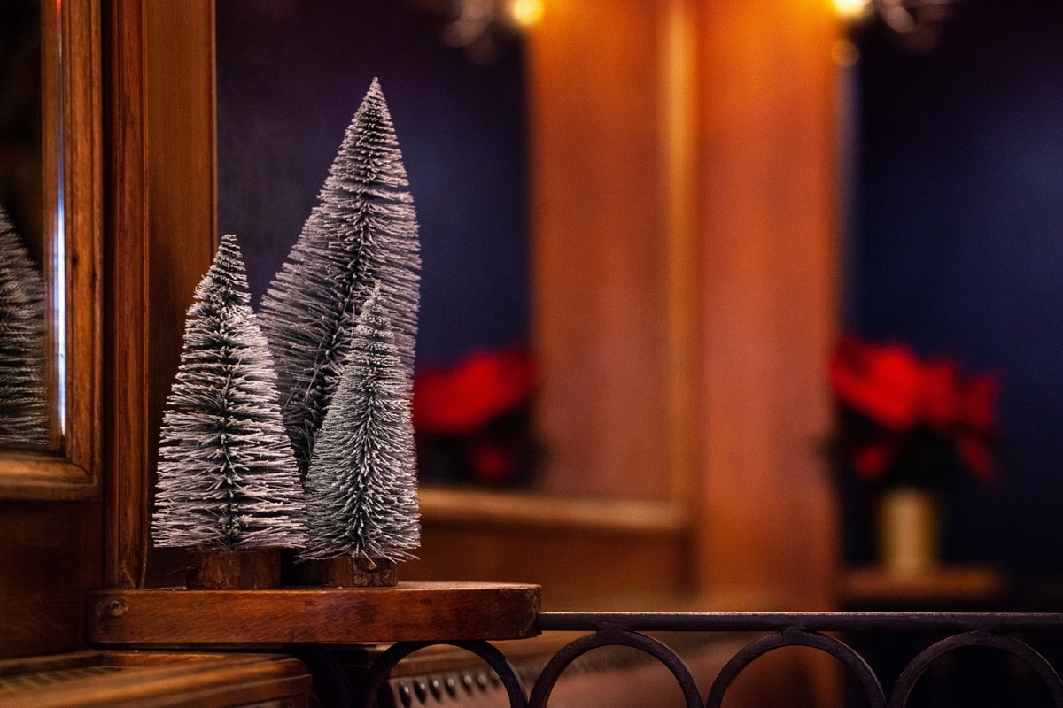 miniature flocked trees in a restaurant 