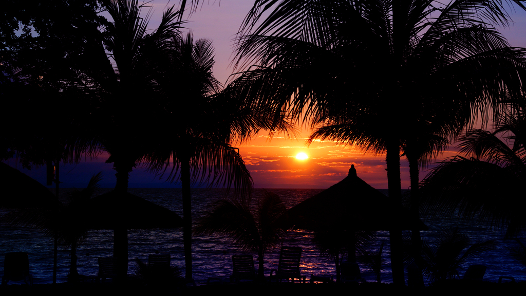 Haiti tourists National Geographic bee questions