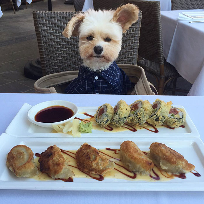 popeye-the-foodie-has-a-better-life-than-you-do-04