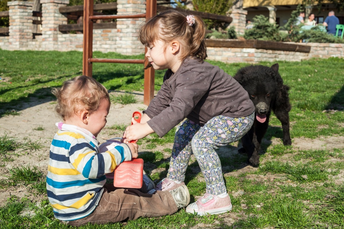 two young children fighting over toy